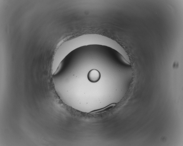 X0000112830144200909111408