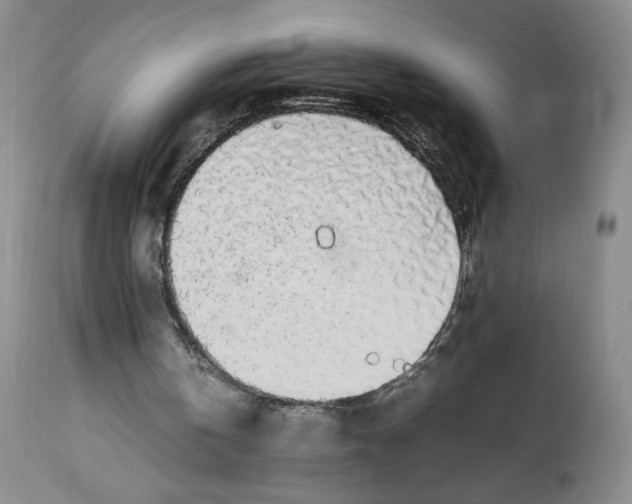 X0000112830146200909111407