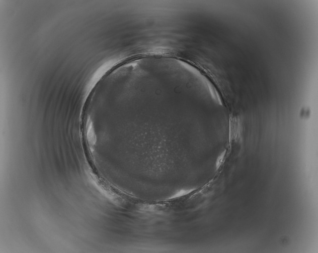 X0000112830147200909111407