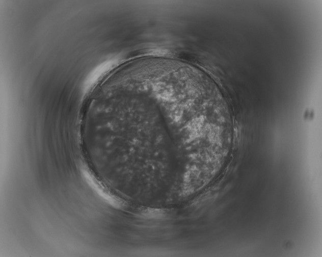 X0000112830149200909111407