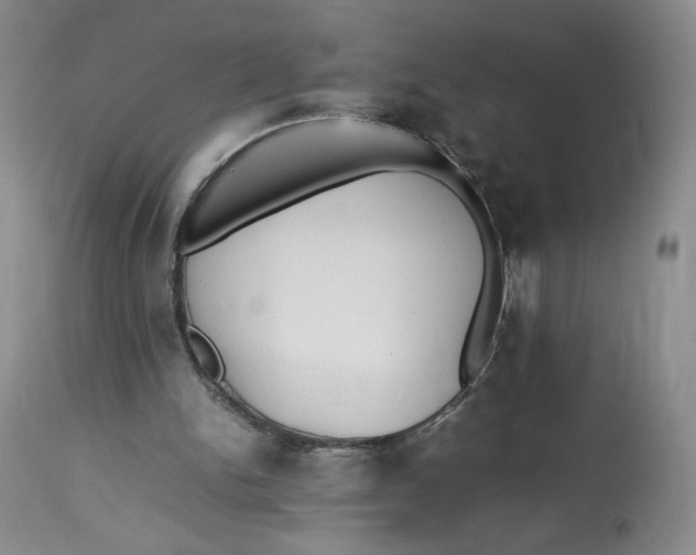 X0000112830150200909111407