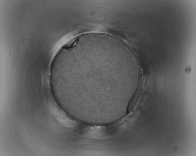 X0000112830152200909111407