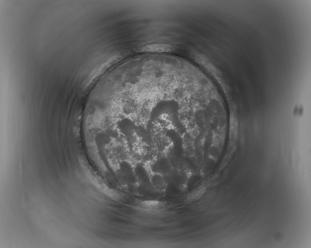 X0000112830153200909111407