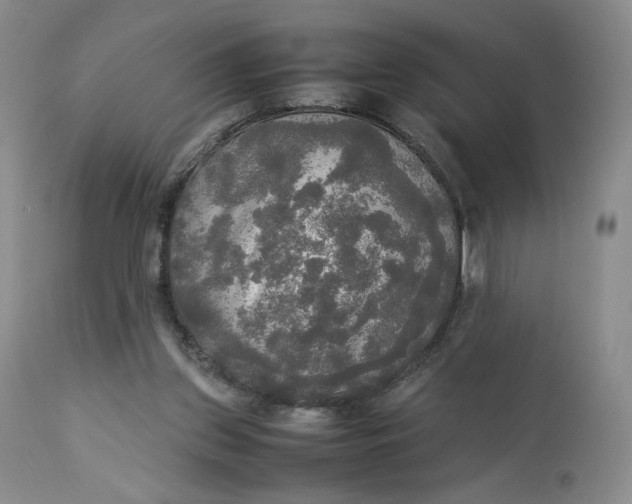 X0000112830157200909111407