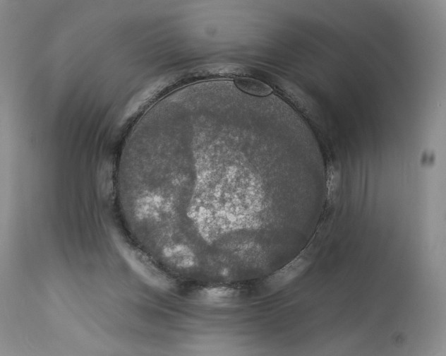 X0000112830158200909111407