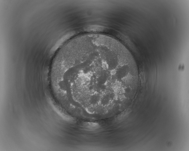 X0000112830159200909111407