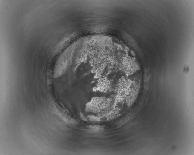 X0000112830161200909111407