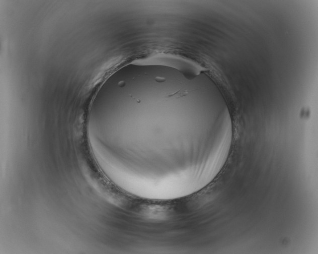 X0000112830163200909111407