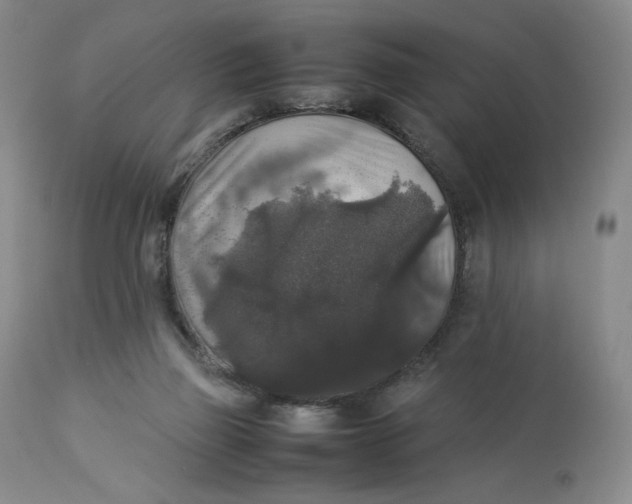 X0000112830165200909111407