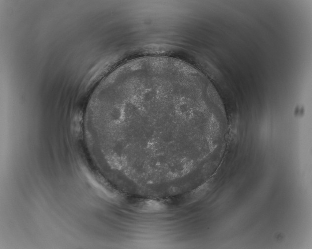 X0000112830166200909111407