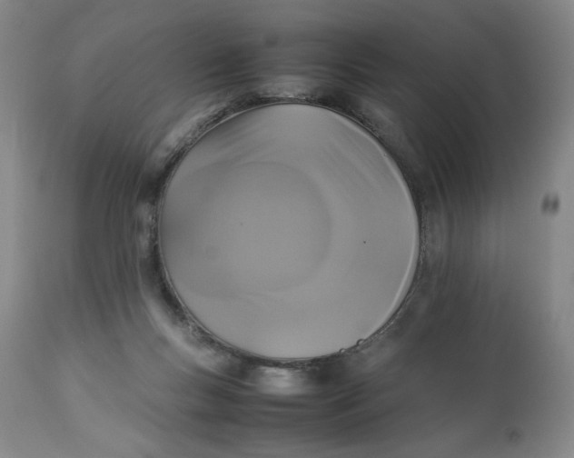 X0000112830167200909111407