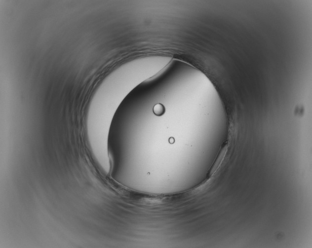 X0000112830170200909111407