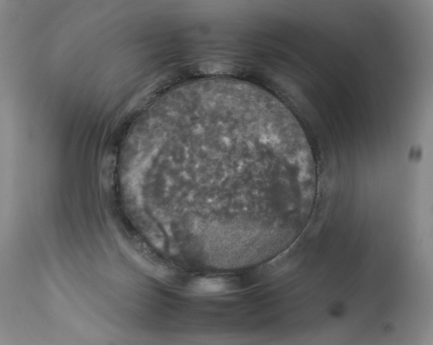 X0000112830171200909111407