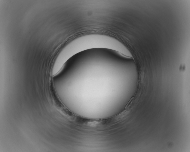 X0000112830172200909111407