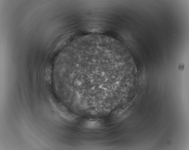 X0000112830175200909111407