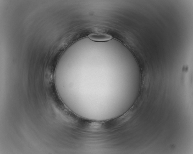 X0000112830176200909111407