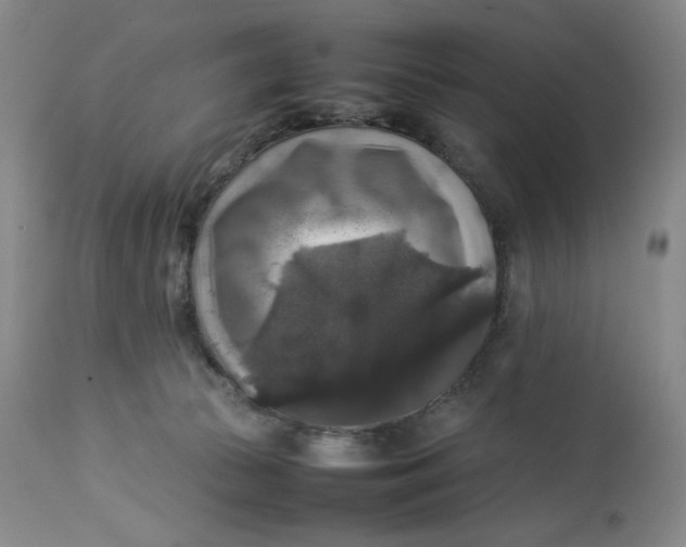 X0000112830177200909111408