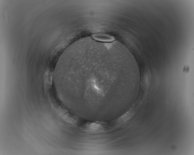 X0000112830180200909111408