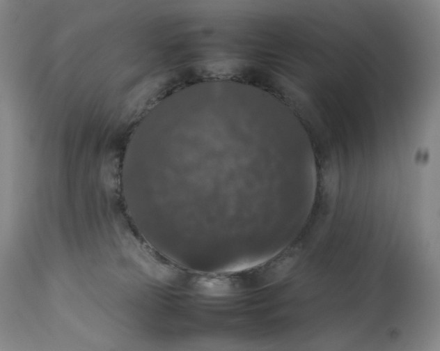 X0000112830181200909111408