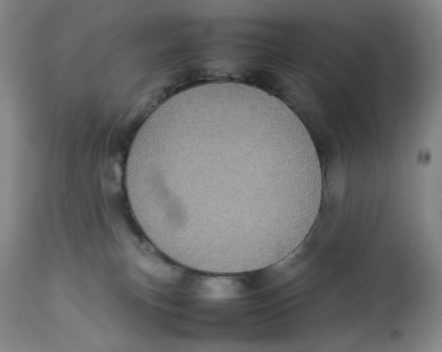 X0000112830183200909111408