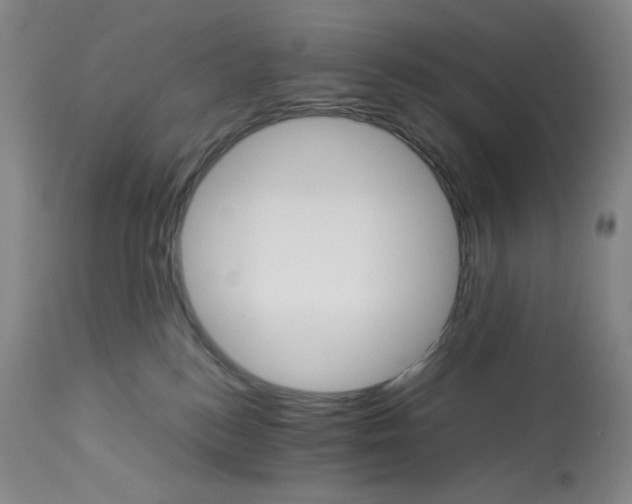 X0000112830184200909111408