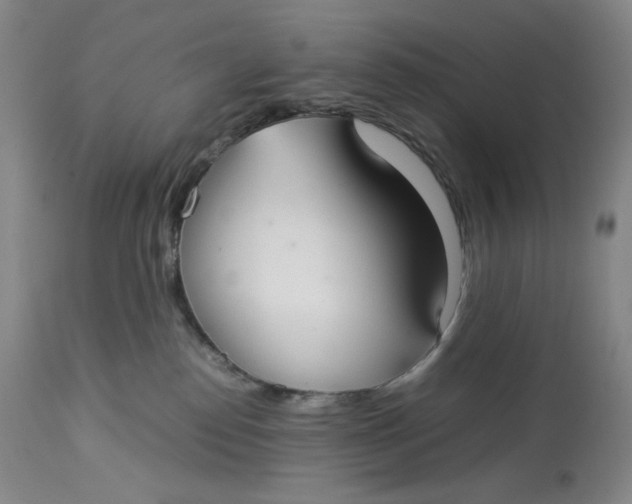 X0000112830186200909111408