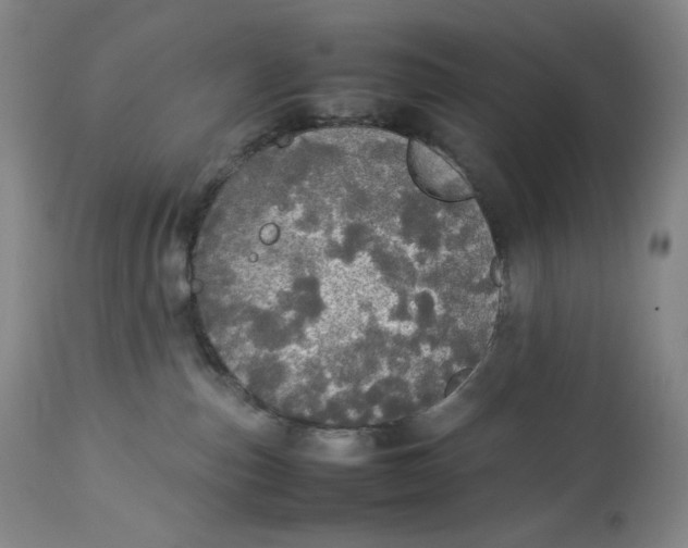 X0000112830187200909111408