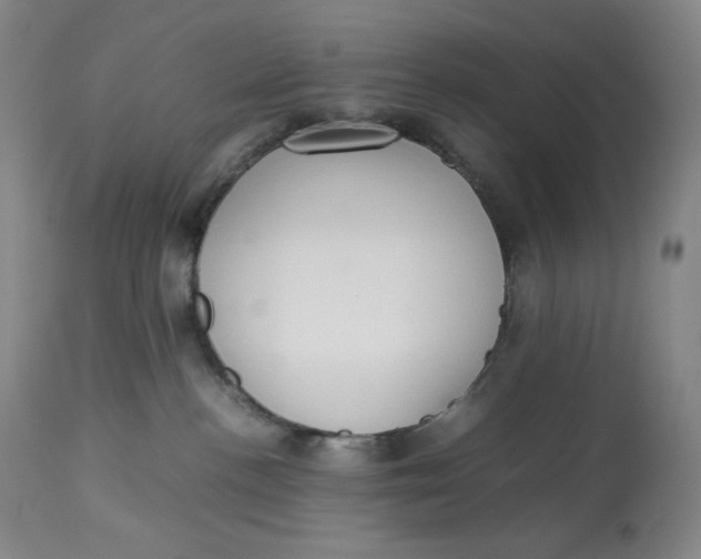 X0000112830188200909111408