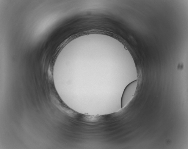 X0000112830191200909111408