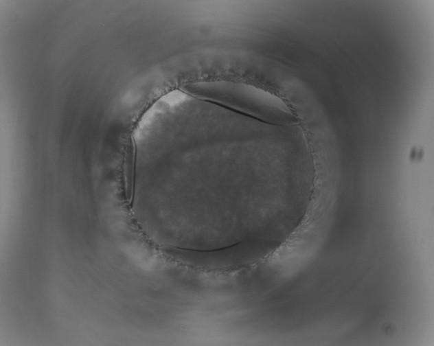 X0000112830192200909111408