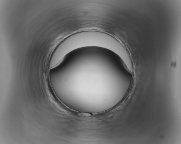 X0000112830193200909111407