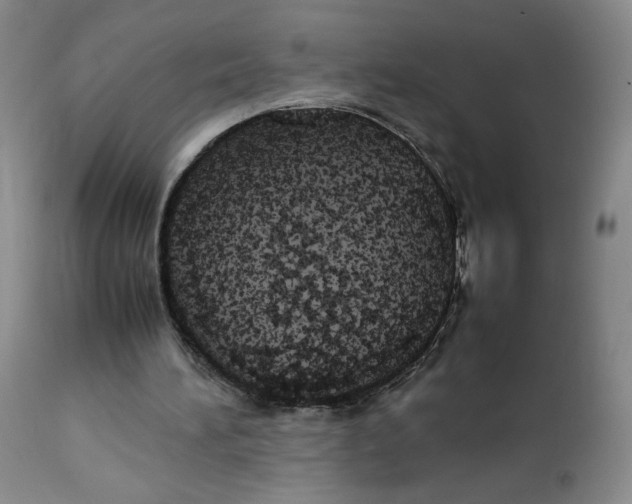 X0000112830196200909111407