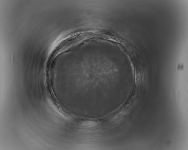 X0000112830198200909111407