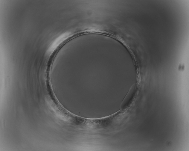 X0000112830199200909111407