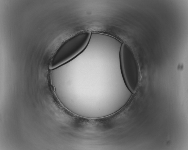 X0000112830201200909111407