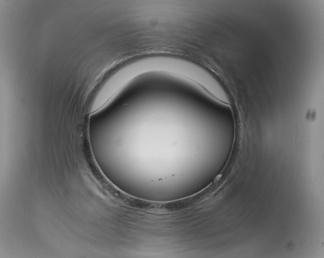 X0000112830203200909111407