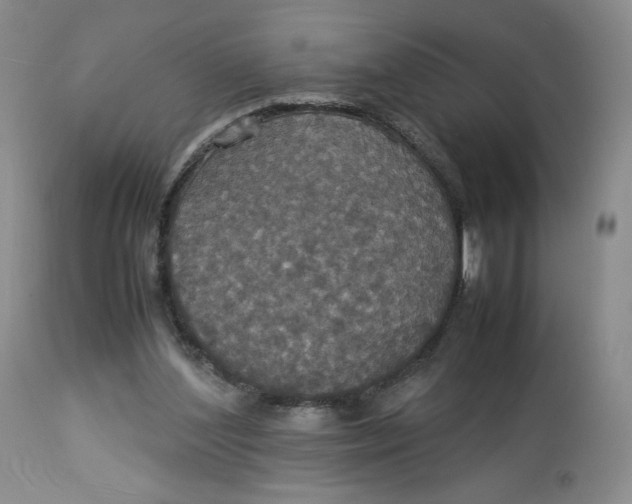 X0000112830204200909111407