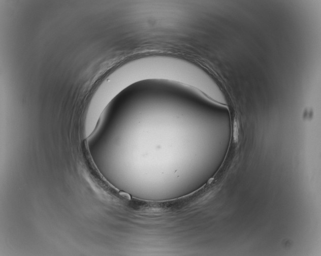 X0000112830205200909111407