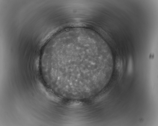 X0000112830206200909111407