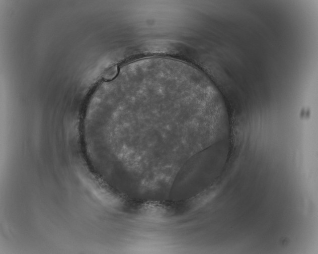 X0000112830207200909111407