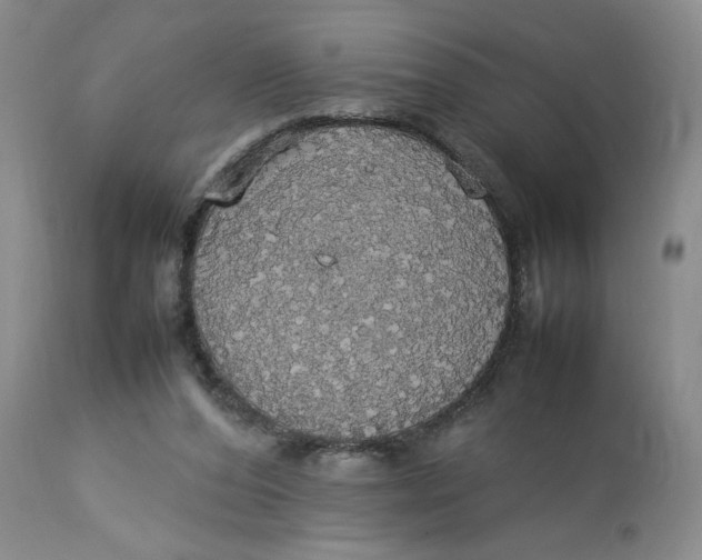 X0000112830208200909111407