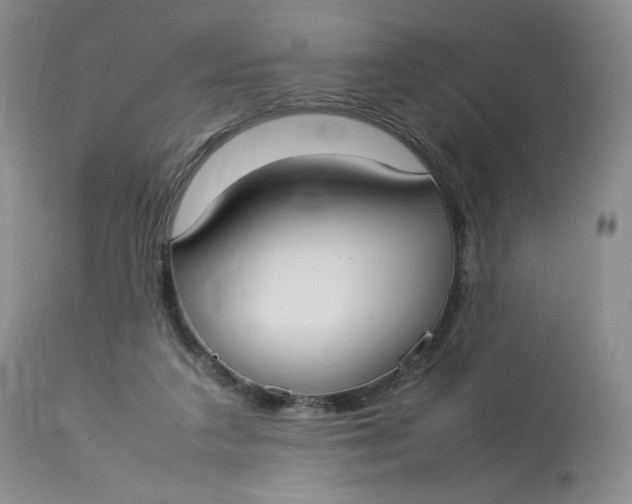 X0000112830211200909111407