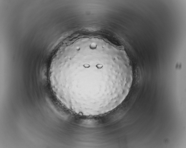 X0000112830212200909111407