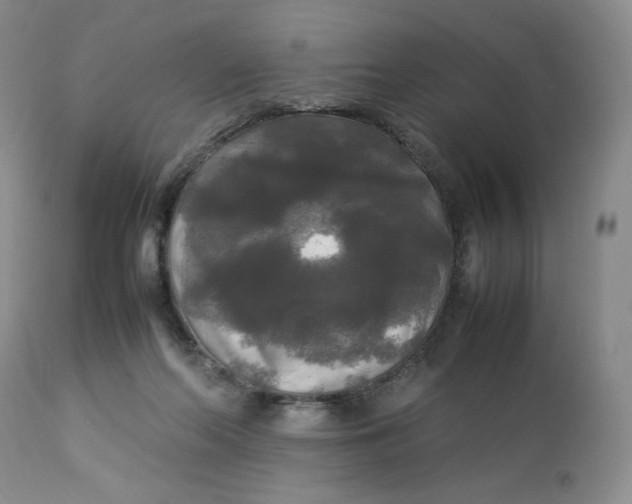 X0000112830214200909111407