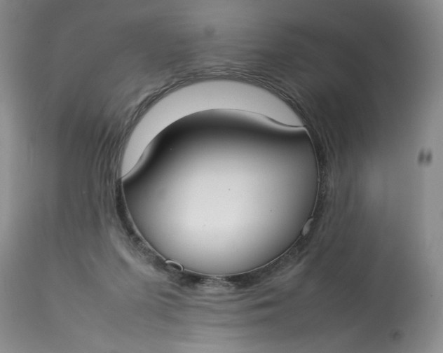 X0000112830215200909111407