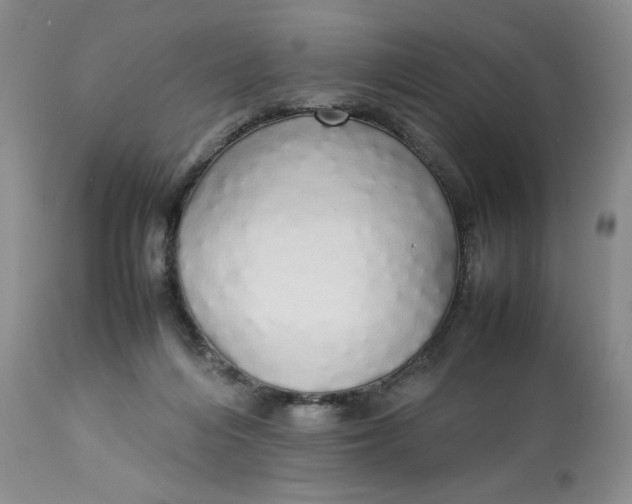 X0000112830216200909111407