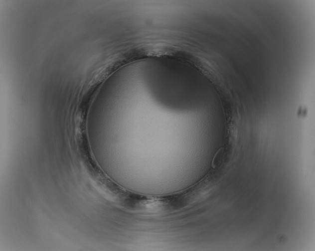 X0000112830219200909111407