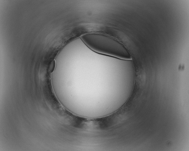 X0000112830221200909111407