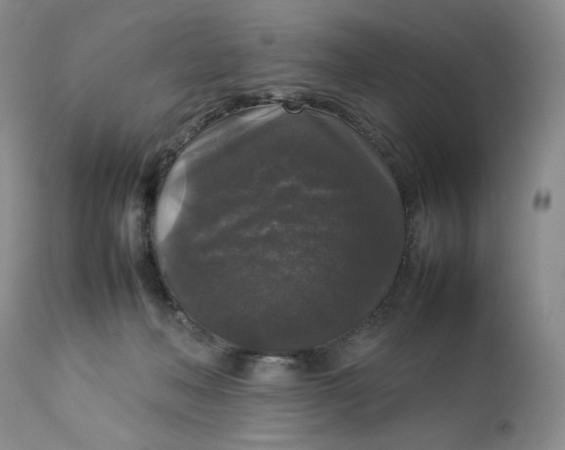 X0000112830222200909111407