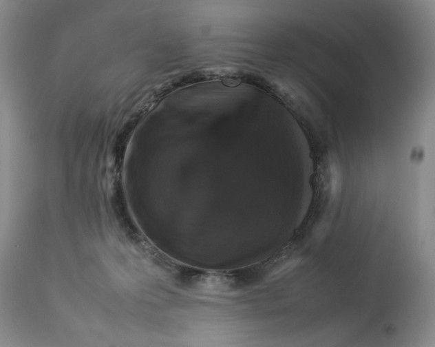 X0000112830223200909111407